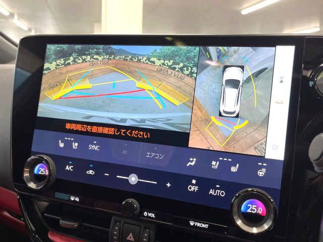 Lexus NX 4