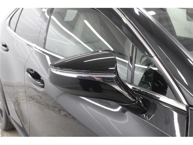 Lexus UX 11