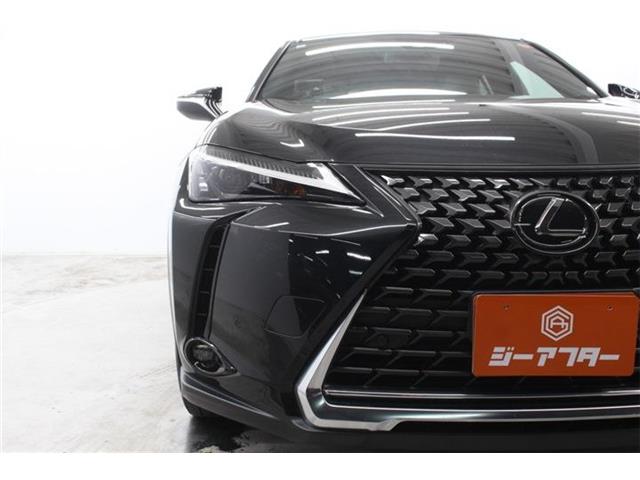 Lexus UX 12