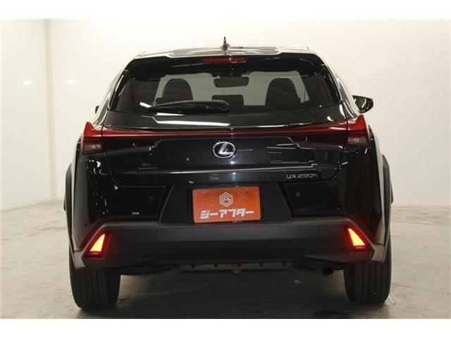 Lexus UX 7
