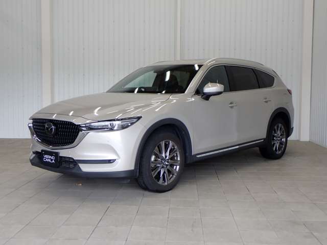 Mazda CX-8 11
