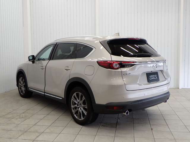 Mazda CX-8 12