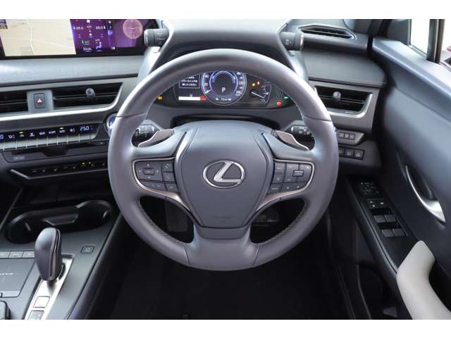 Lexus UX300e 11