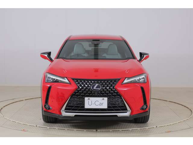 Lexus UX300e 5