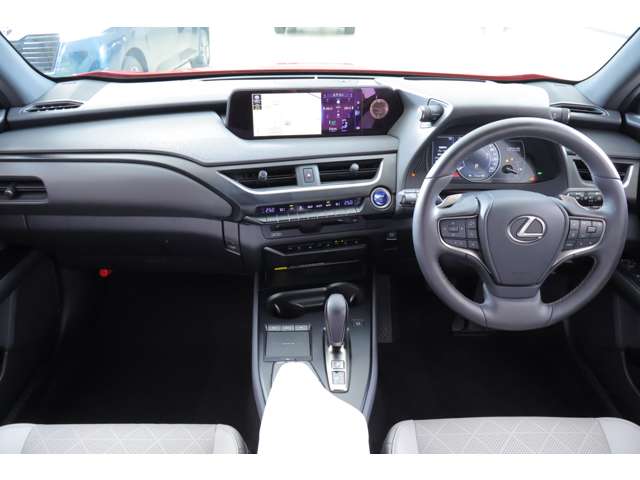 Lexus UX300e 6