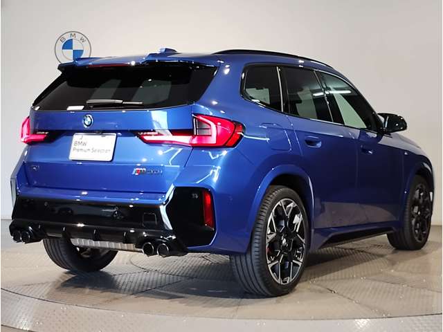 BMW X1 8