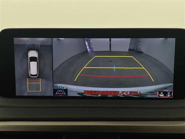 Lexus RX 11