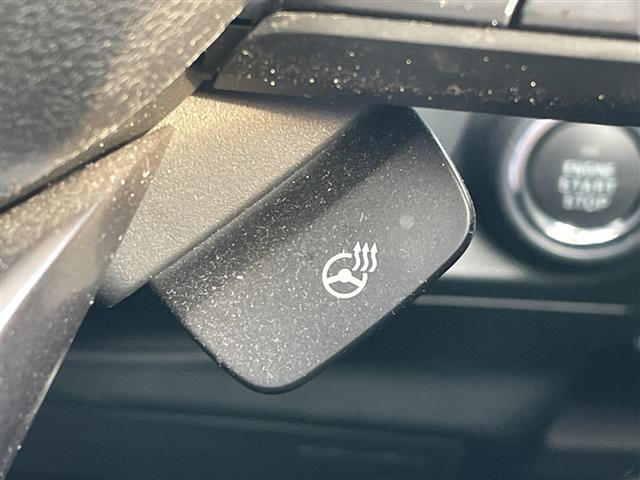 Subaru Forester 12