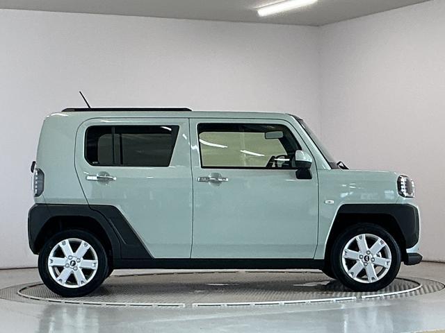 Daihatsu Taft 9