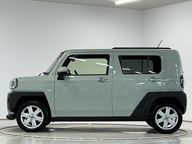 Daihatsu Taft 11