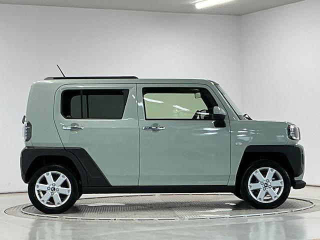 Daihatsu Taft 10