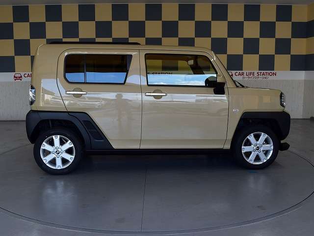 Daihatsu Taft 13