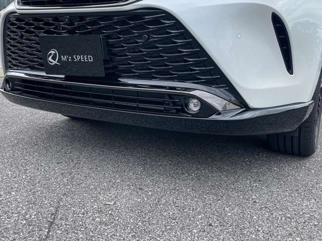 Toyota Harrier 10