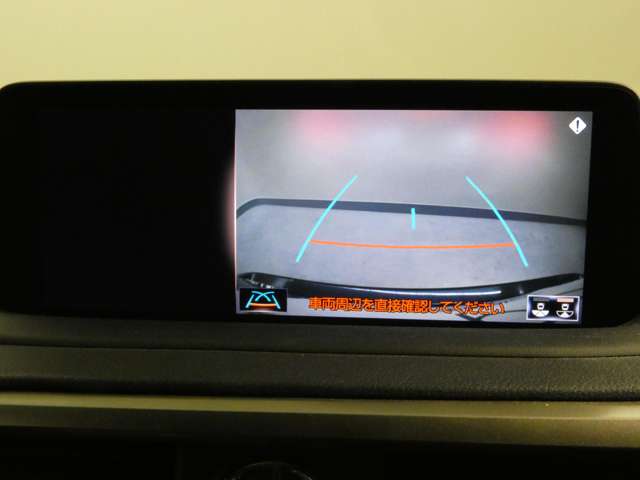 Lexus RX 11