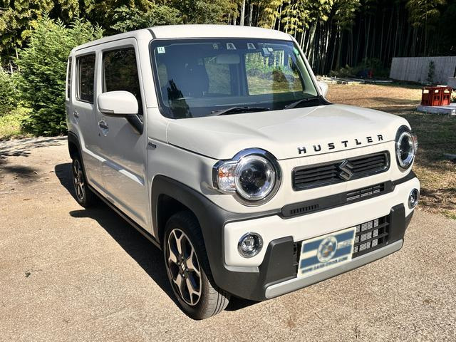 Suzuki Hustler 5