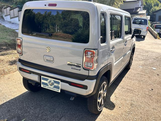 Suzuki Hustler 6