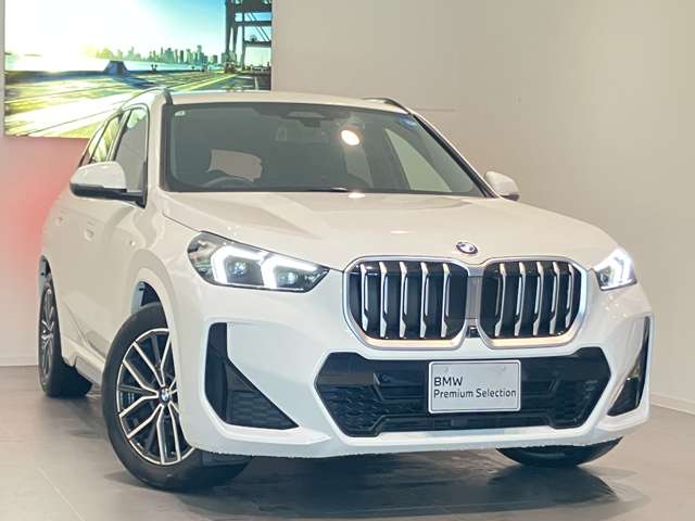 BMW X1 9