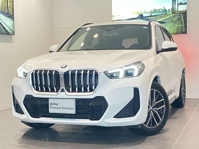 BMW X1 10