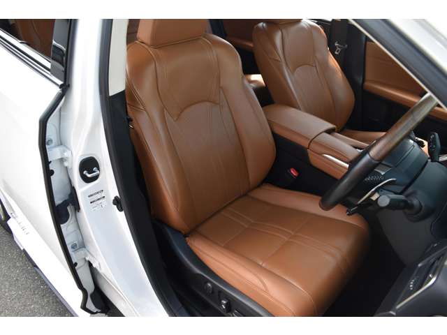 Lexus RX 11