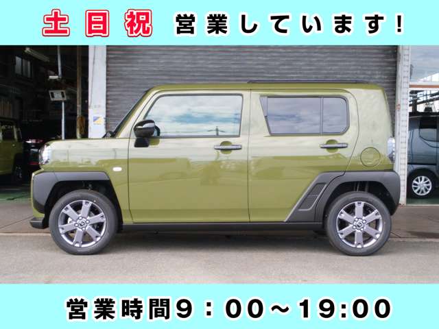 Daihatsu Taft 10