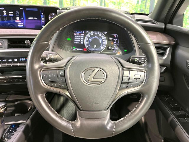 Lexus UX 12