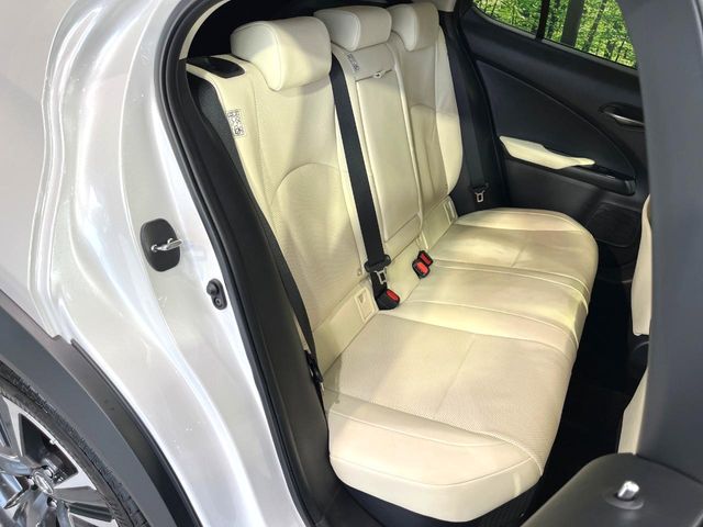 Lexus UX 10