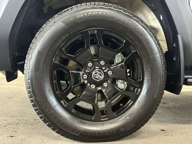 Toyota Land Cruiser FJ 10