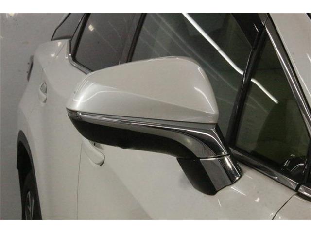 Lexus RX 11