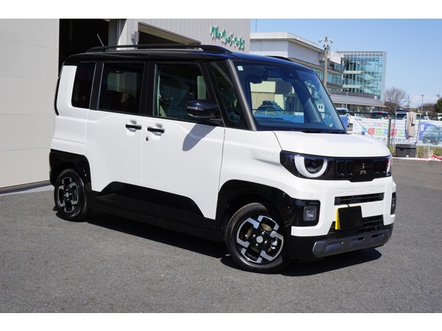 Mitsubishi Delica Mini 5