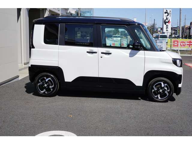Mitsubishi Delica Mini 7