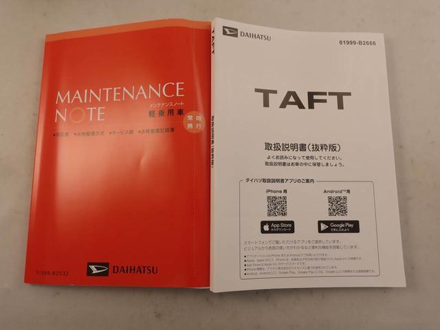 Daihatsu Taft 8