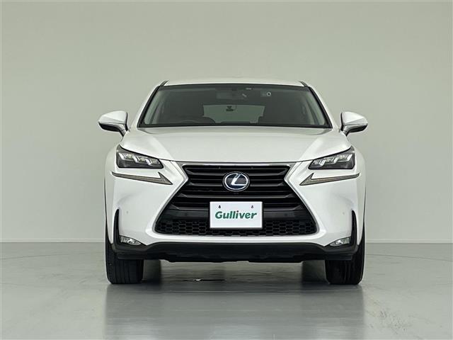 Lexus NX 12