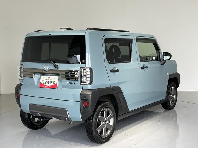 Daihatsu Taft 6