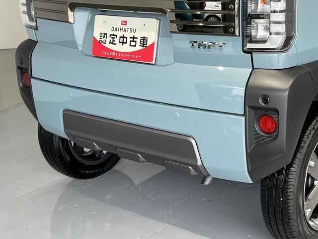 Daihatsu Taft 8
