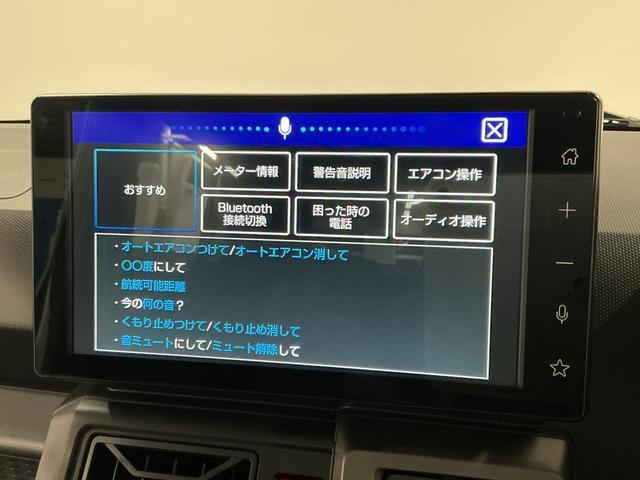 Daihatsu Taft 8