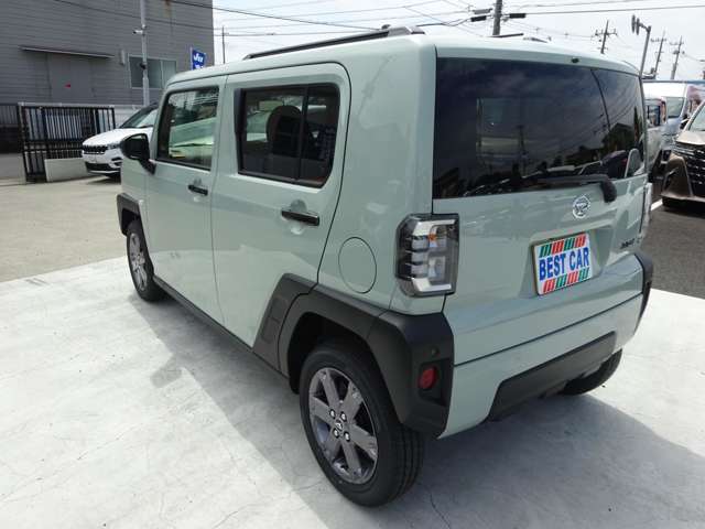 Daihatsu Taft 11