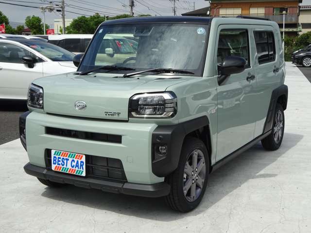Daihatsu Taft 6