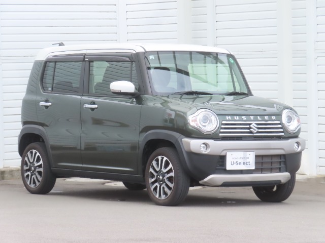 Suzuki Hustler 6