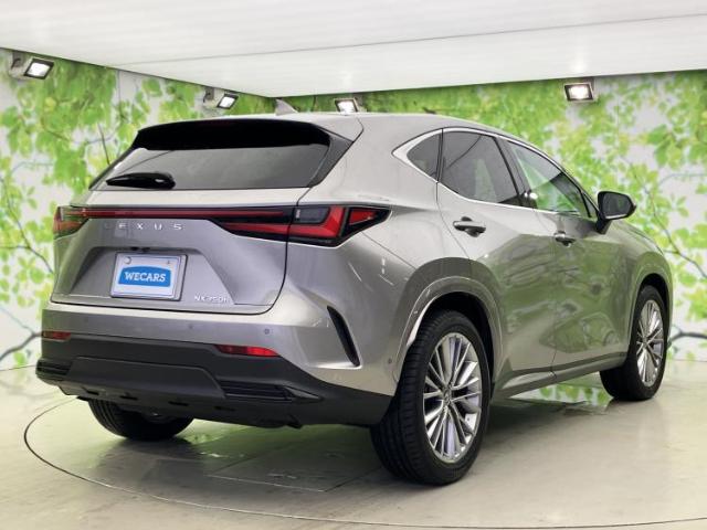 Lexus NX 6