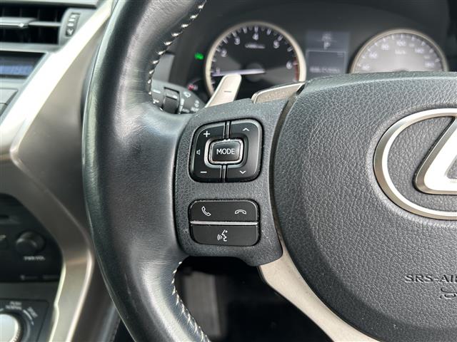 Lexus NX 12