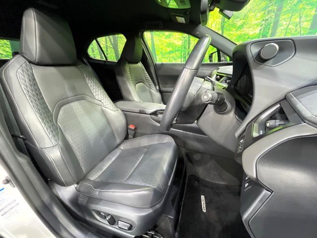 Lexus UX 10