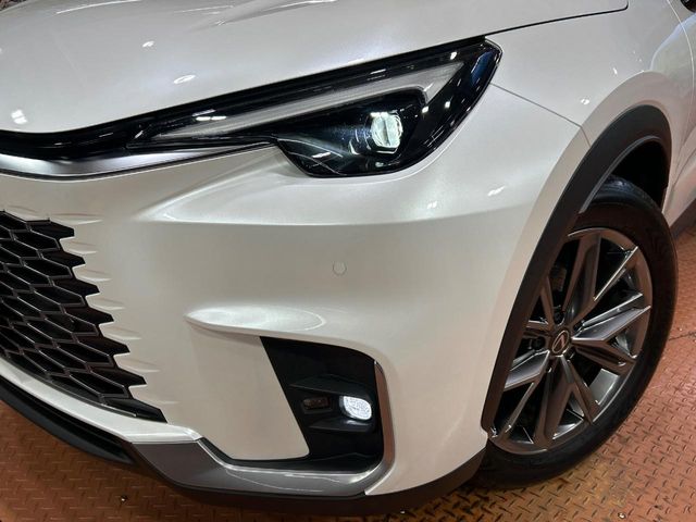Lexus LBX 12