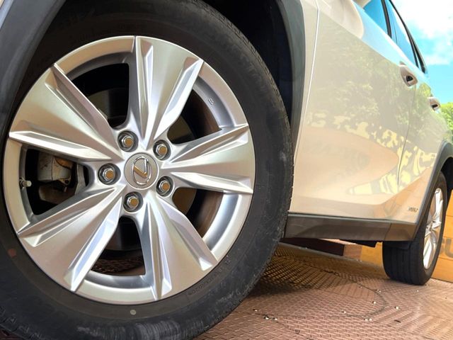 Lexus UX 12