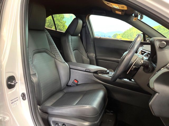 Lexus UX 9