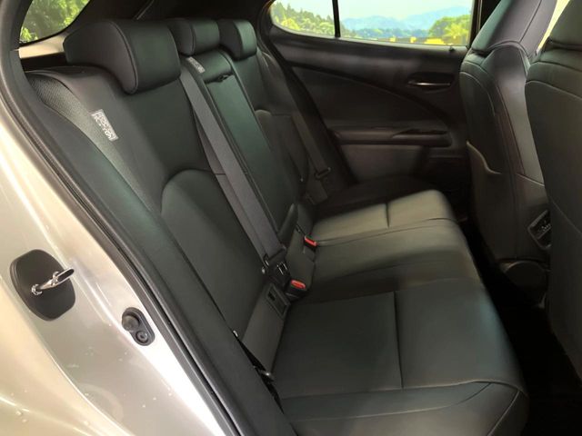 Lexus UX 10