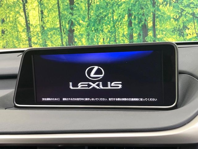 Lexus RX 4