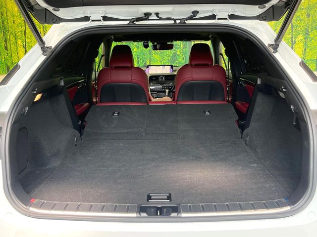 Lexus RX 10