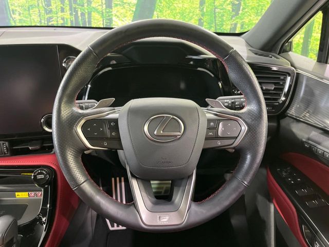 Lexus NX 11