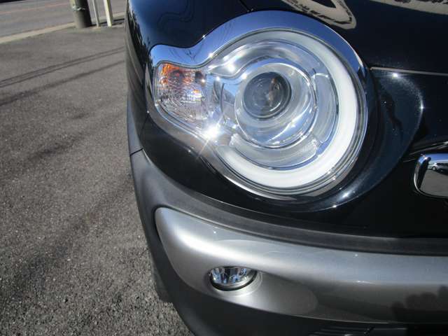 Suzuki XBEE 8