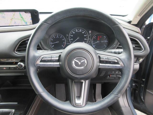 Mazda CX-30 11